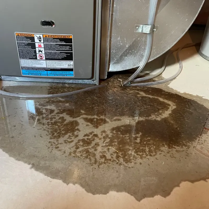 Appliance Leak Cleanup in Coffee County, TN